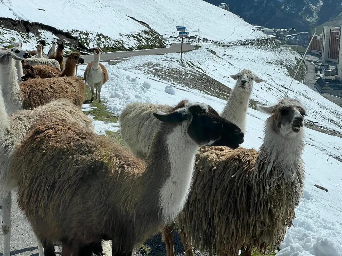 Kemp Grande Caravane Avec Auvent Au Milieu Du Parc Naturel Des Pyrenees Campan